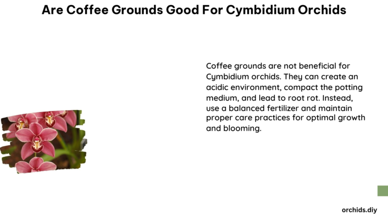 Are Coffee Grounds Good for Cymbidium Orchids