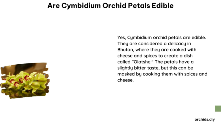 Are Cymbidium Orchid Petals Edible