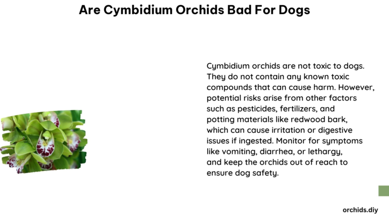 Are Cymbidium Orchids Bad for Dogs