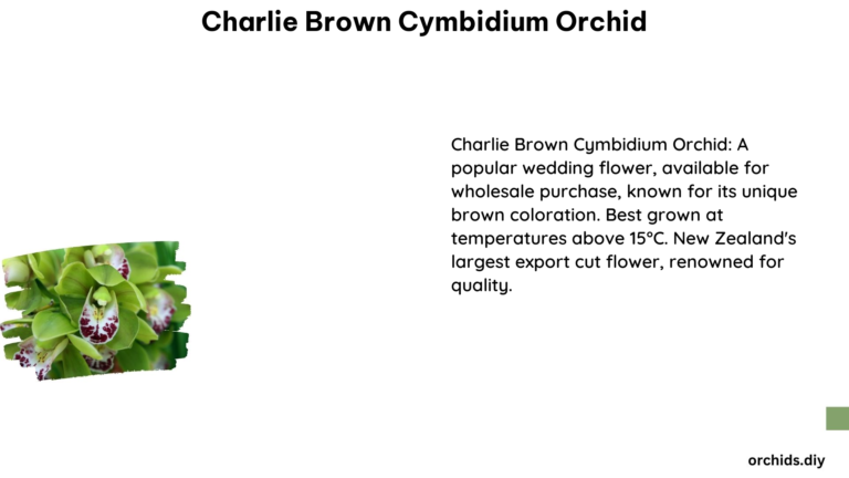 Charlie Brown Cymbidium Orchid