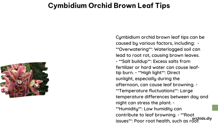 Cymbidium Orchid Brown Leaf Tips