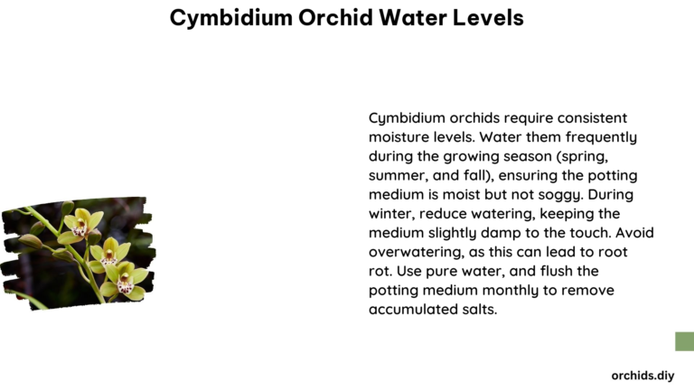 Cymbidium Orchid Water Levels