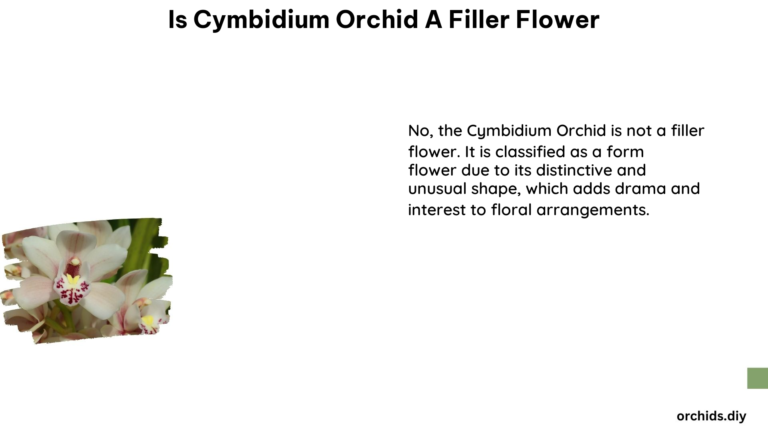 Is Cymbidium Orchid a Filler Flower