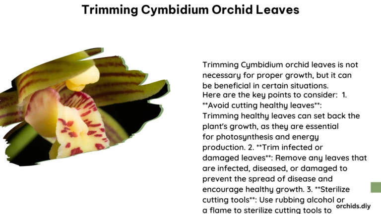 Trimming Cymbidium Orchid Leaves