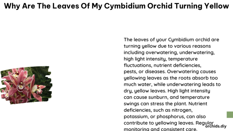Why Are the Leaves of My Cymbidium Orchid Turning Yellow